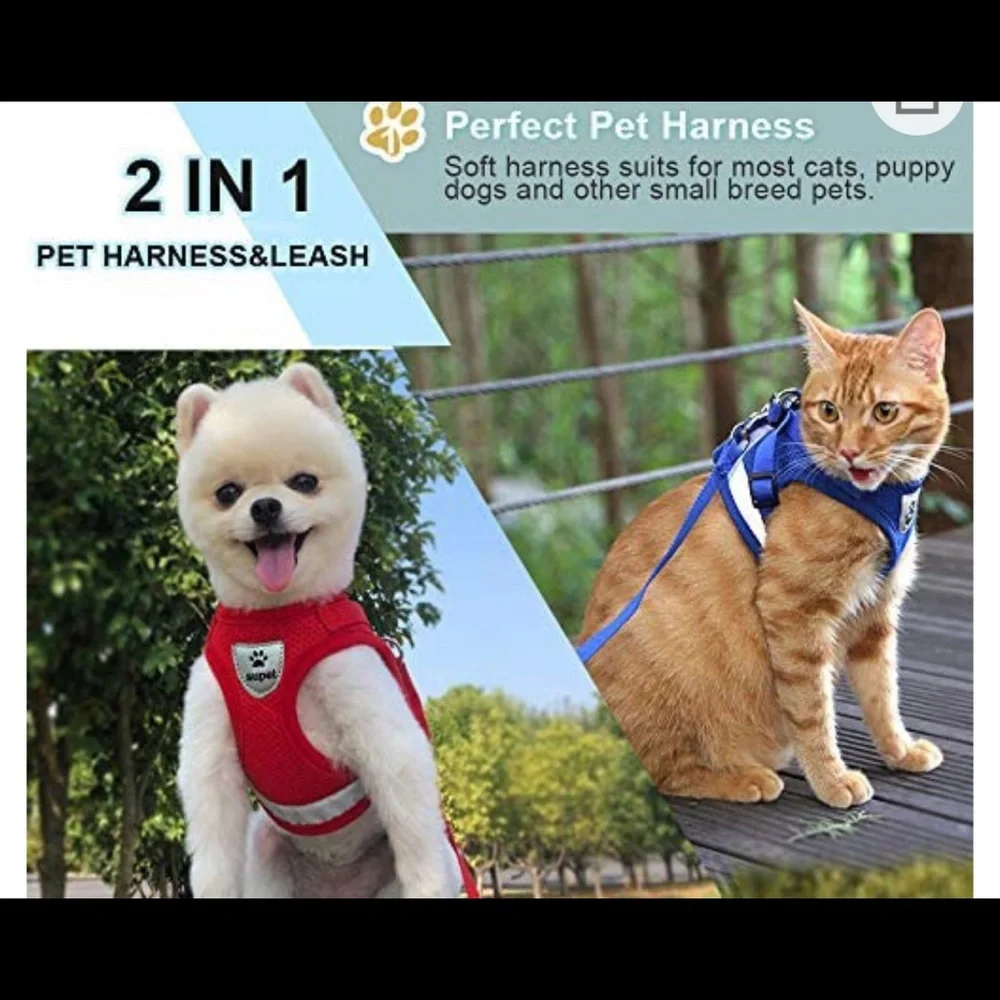 Brand New Supet Cat Small Animal Harness and Leash for Walking Set